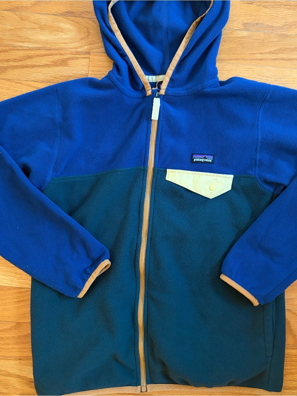 Patagonia Micro D Snap-T Full Zip Fleece Hoodie Jacket Kids Blue Green Sz M/10
